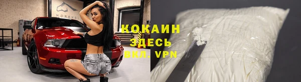 молекула духа Кулебаки