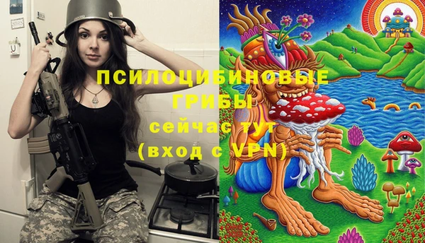 молекула духа Кулебаки