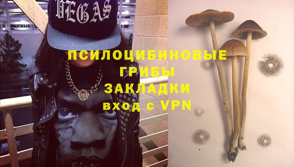 дмт Лиски