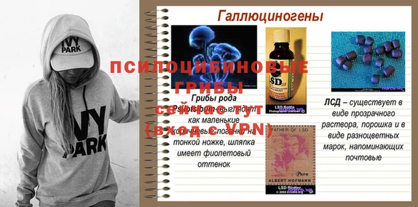 молекула духа Кулебаки