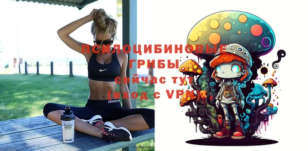 молекула духа Кулебаки