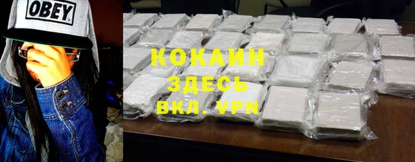 молекула духа Кулебаки