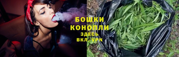 Альфа ПВП Кукмор