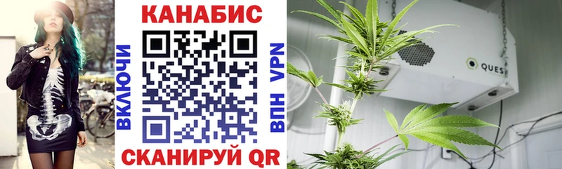 Купить закладки  Апрелевка  Канабис Amnesia 